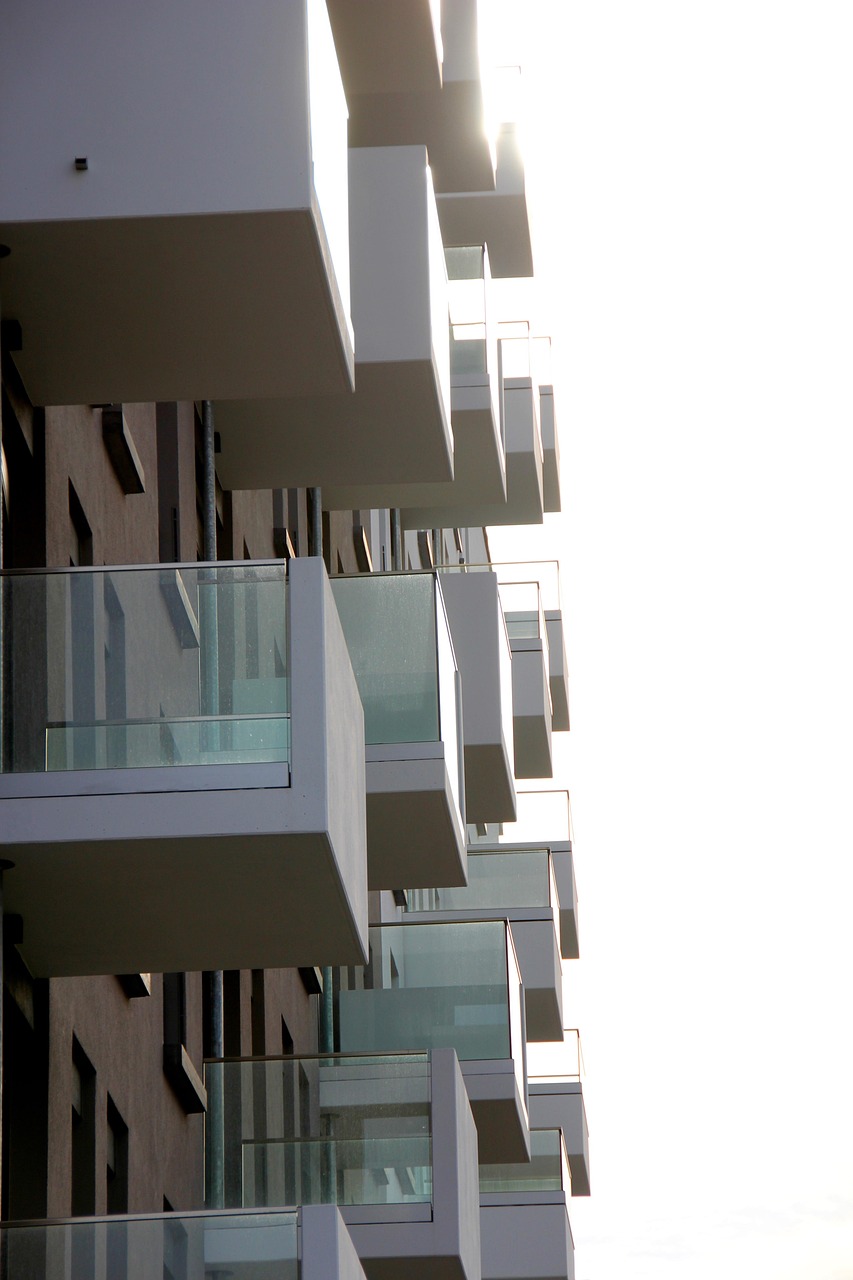 新机场高速建设进展、最新动态与未来展望