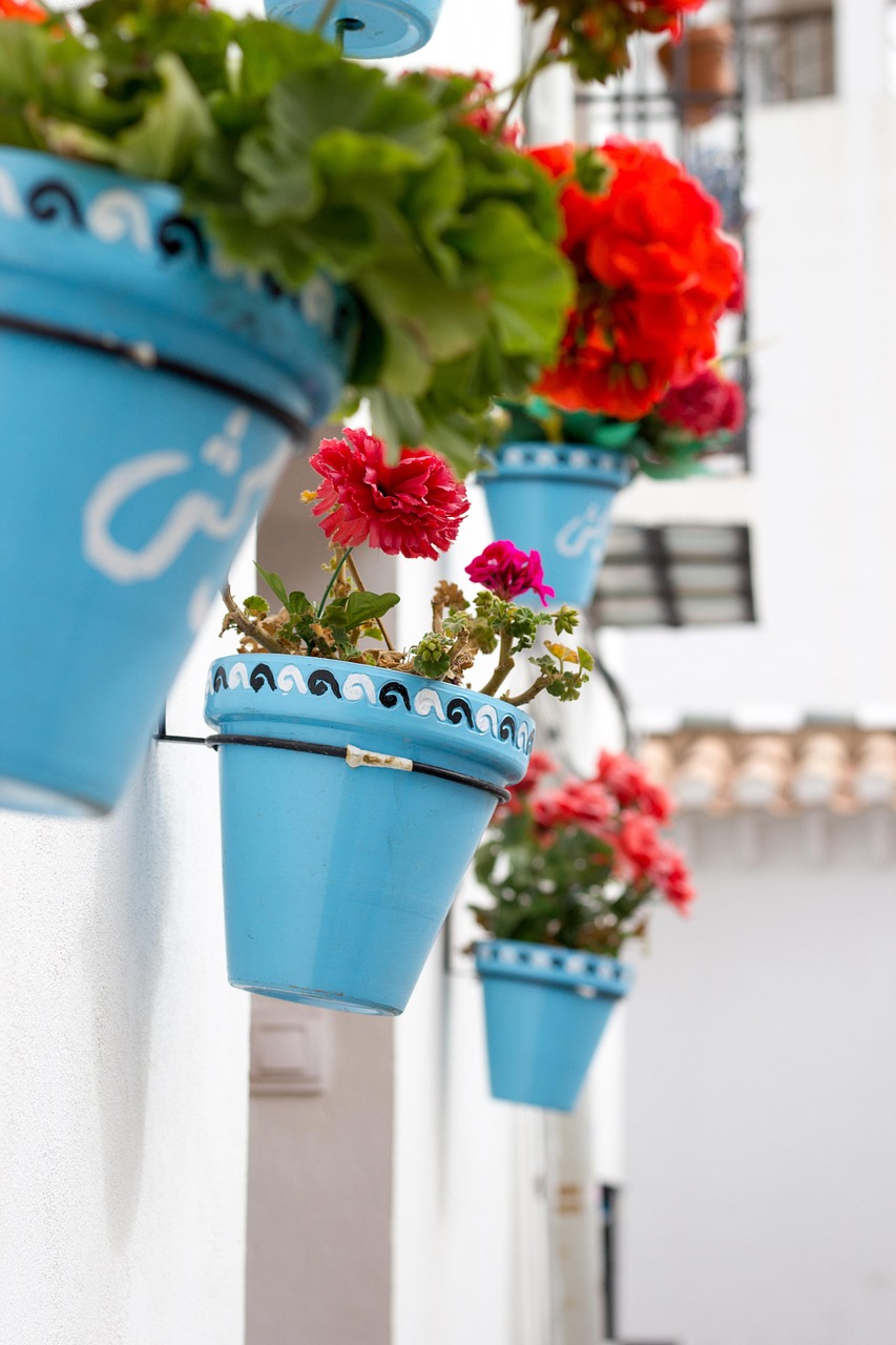 西安龙泊湾最新动态揭秘，城市新热点的蓬勃发展之路