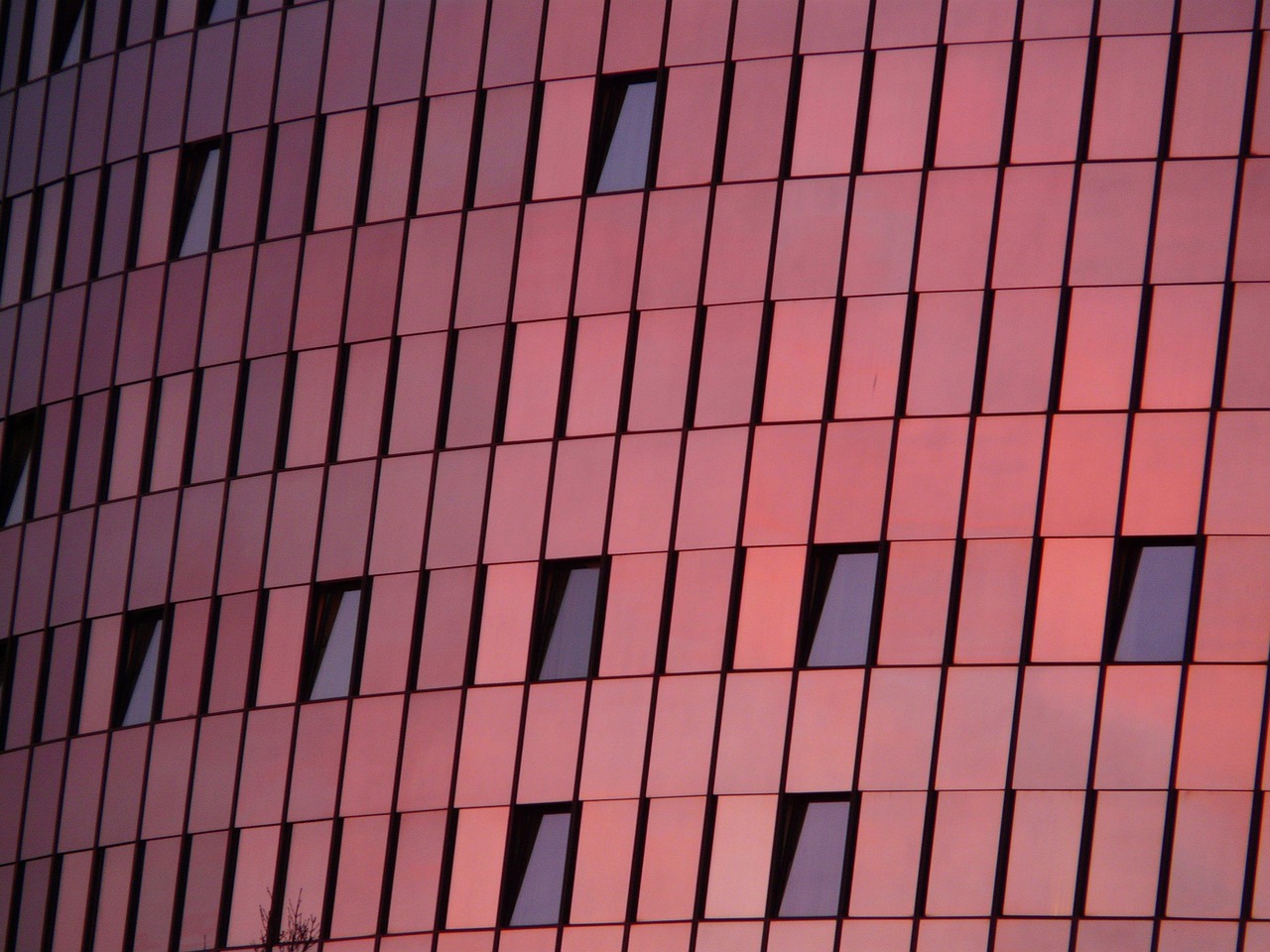 中房颐园最新发展态势与未来展望,探寻动态更新之路