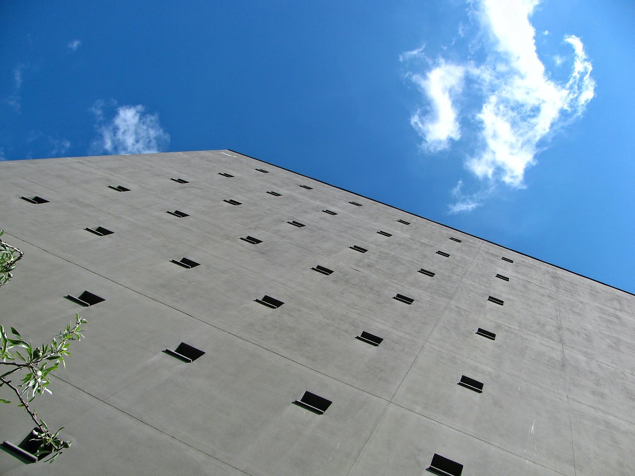 中房颐园最新发展态势与未来展望,探寻动态更新之路