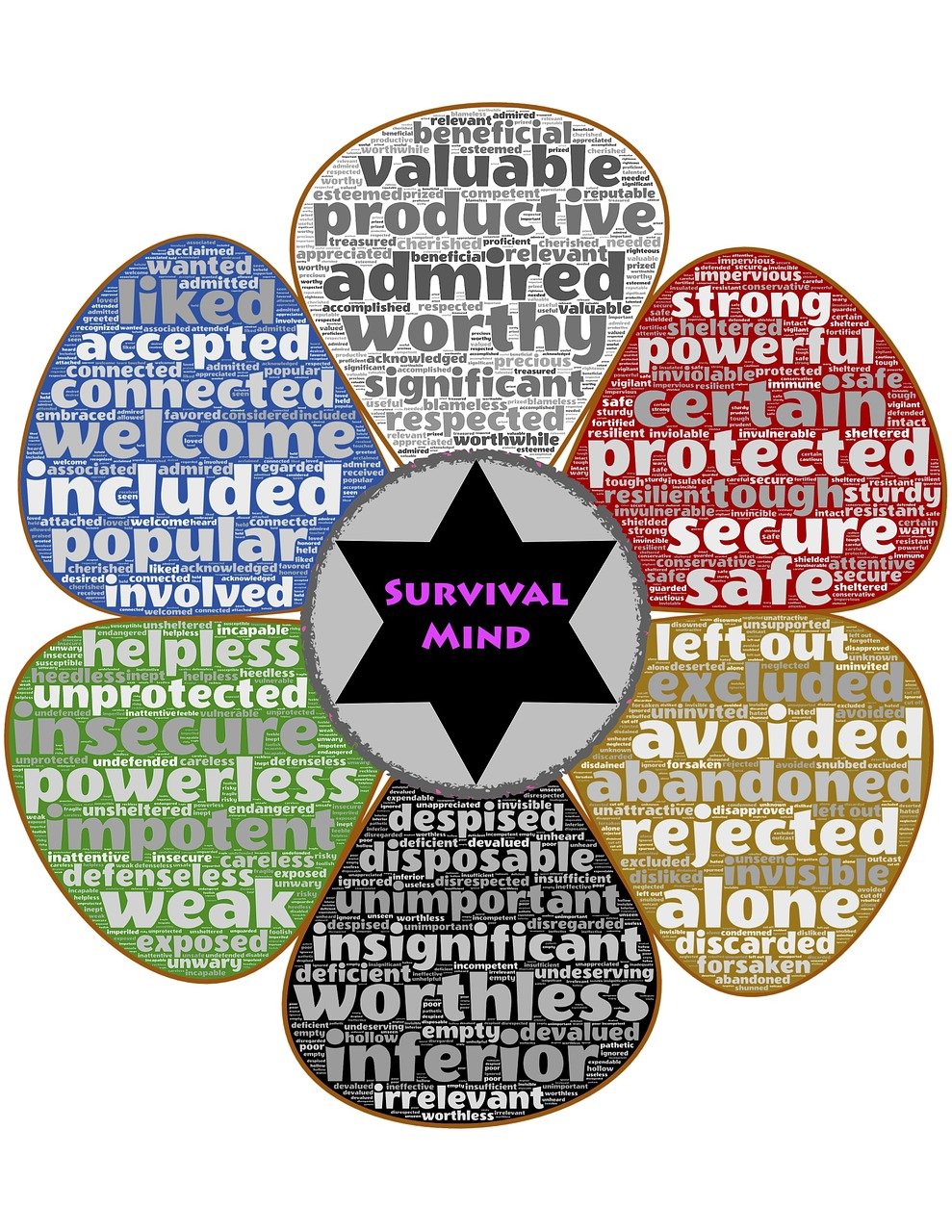 最新胡价格动态及市场影响分析