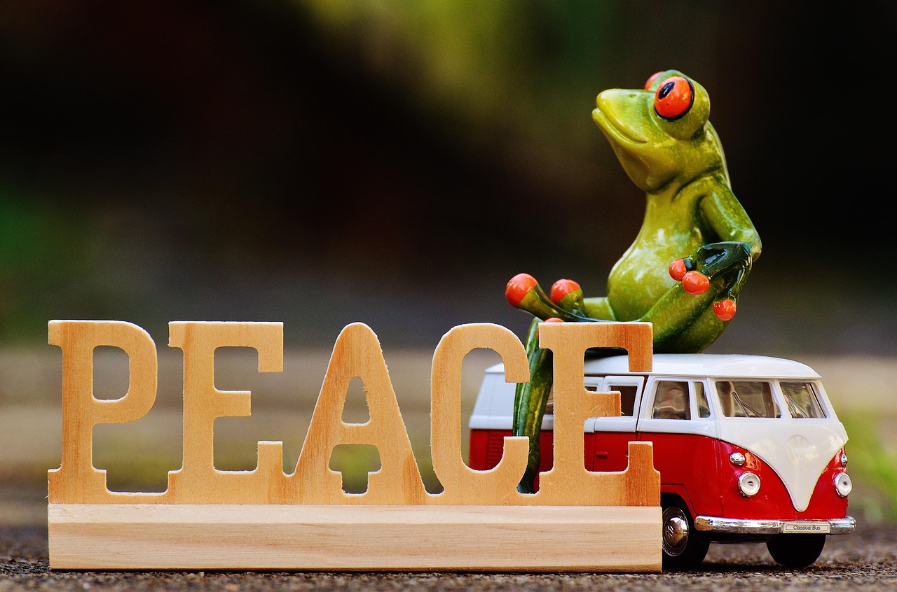 爱情快递最新,速度与情感的新融合