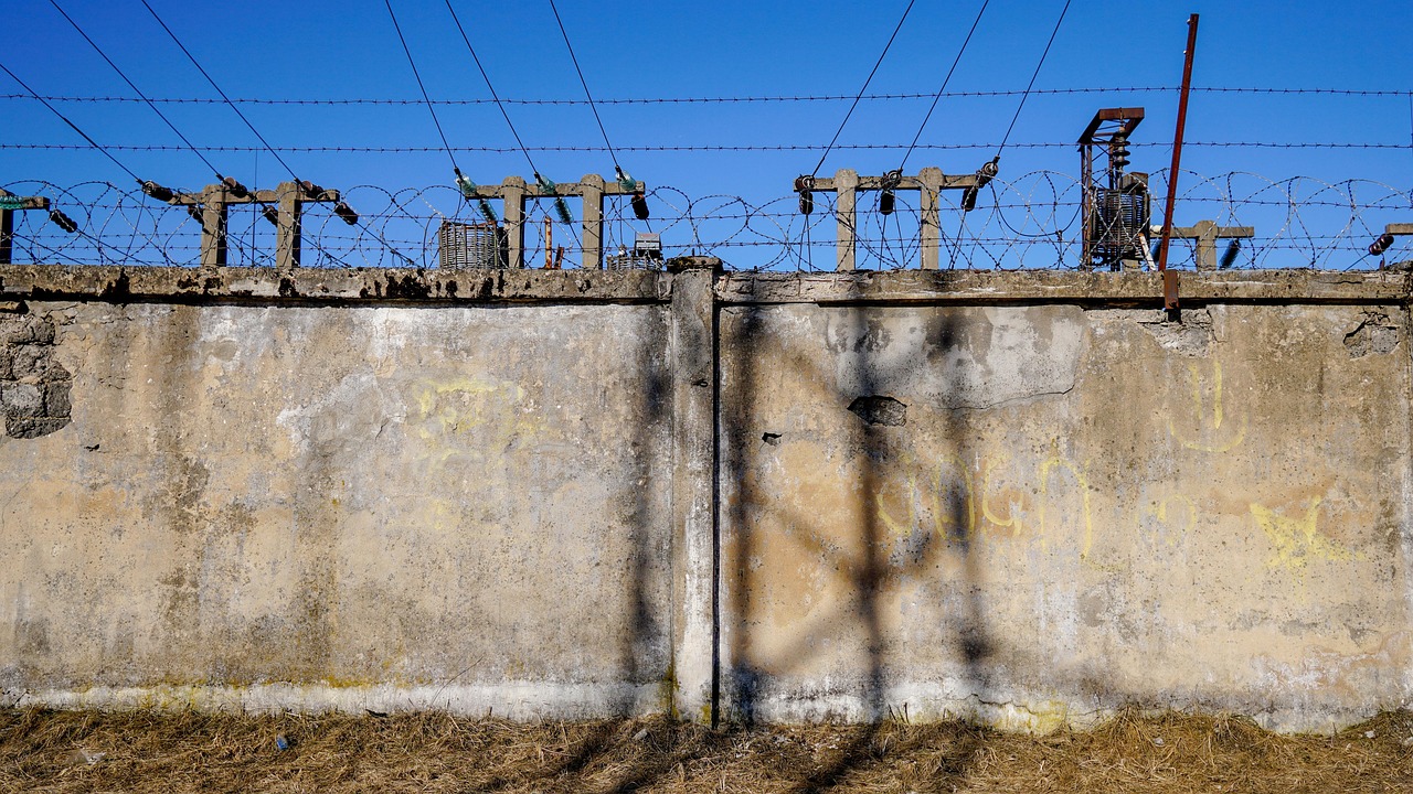 刘道平2017年最新动态，持续创新，行业前沿的引领者