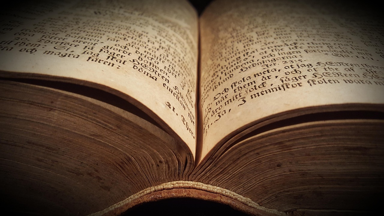 电影狂犬病，疫情背后的故事与情感冲击揭秘