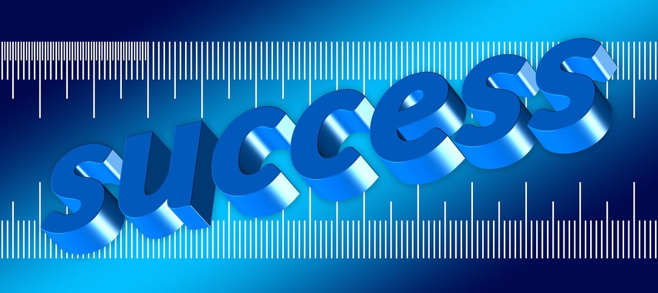 最新白皮松采购资讯详解,市场动态与采购策略全解析