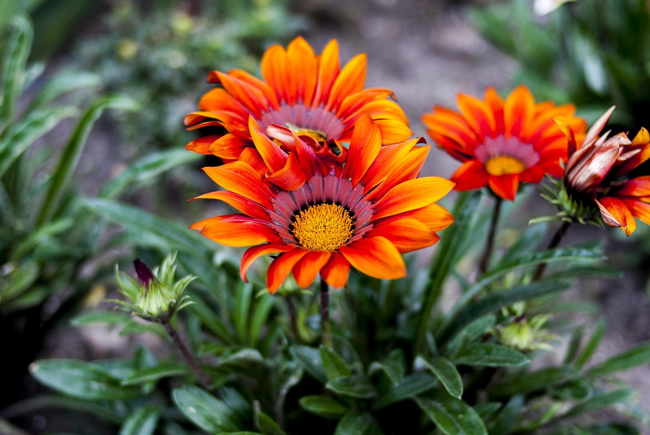 MU2921最新航班信息详解，实时更新航班动态与细节解析