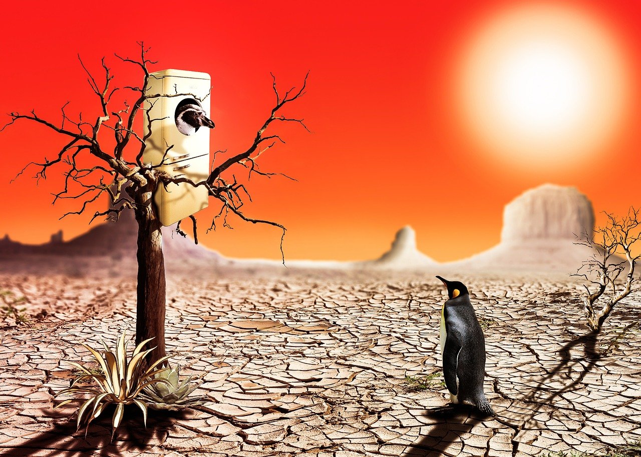 最新热门动漫，探索魅力世界的无限可能