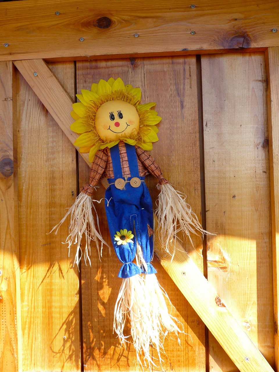 动漫网下载，探索与体验之旅