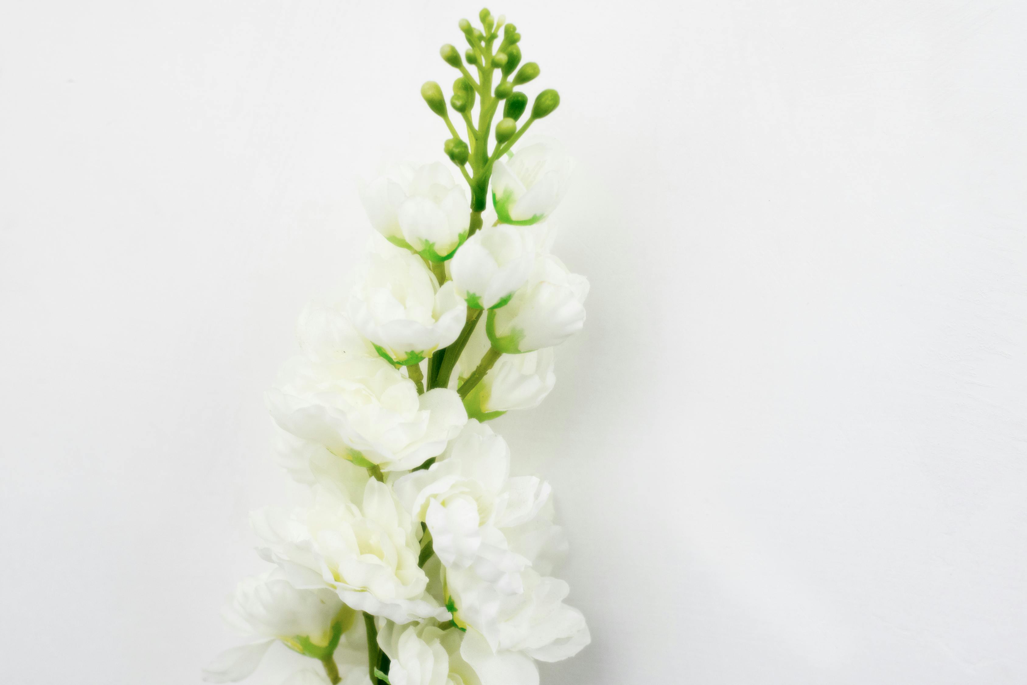 耀皮玻璃股价动态，市场走势分析与展望