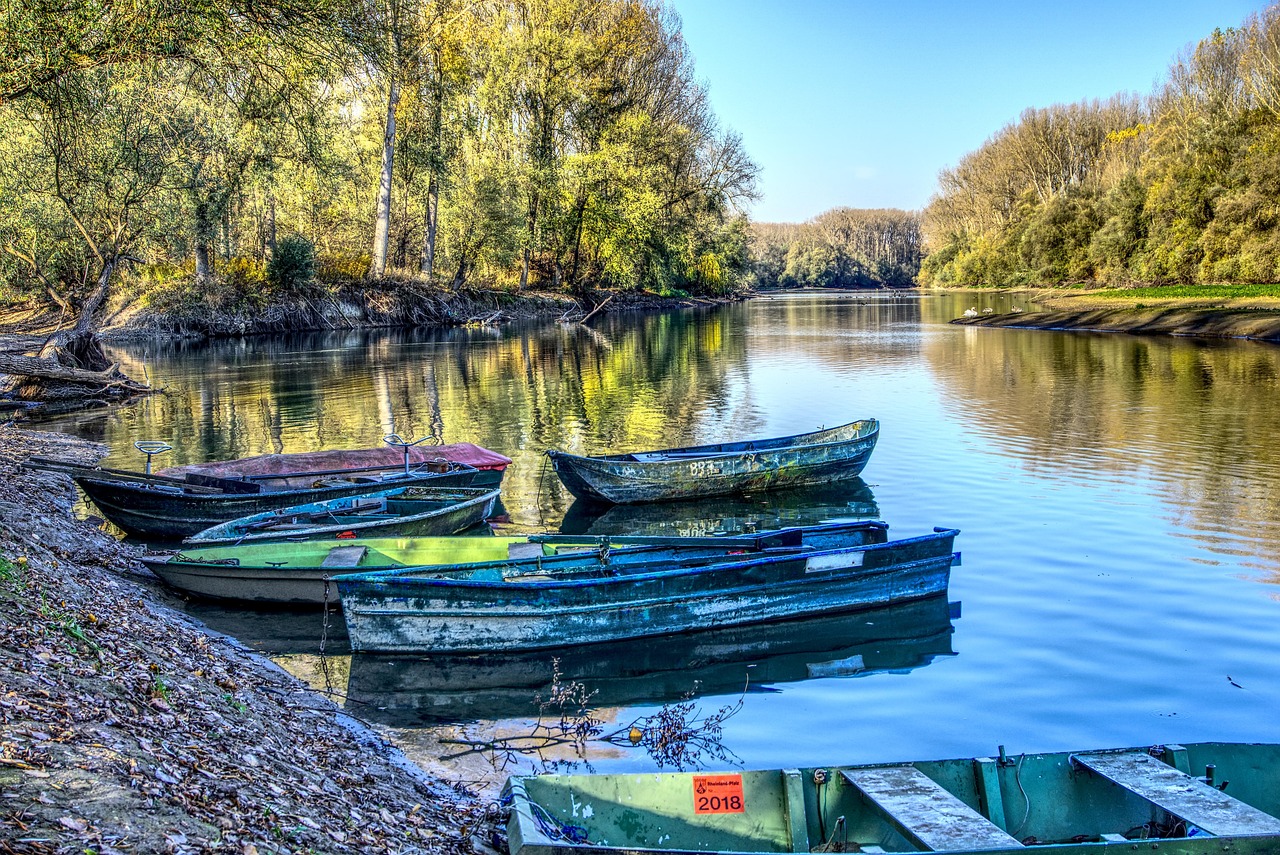 博通股份最新资产动态深度解析及展望