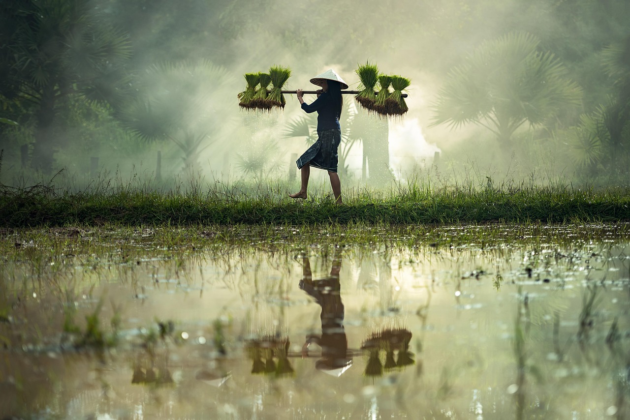 北京电影学院文学系，培育电影文学精英的摇篮之地
