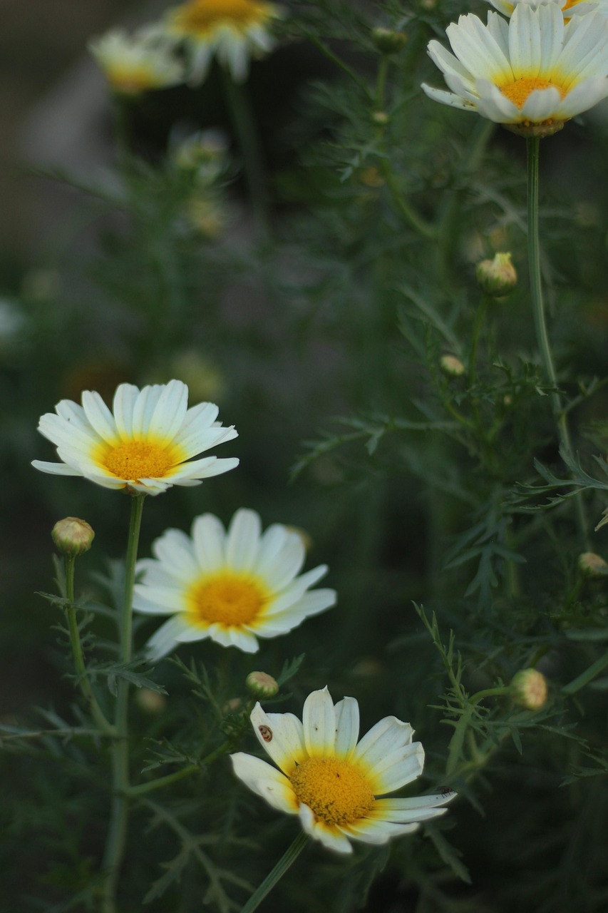 韩星李瑞镇最新动态，荧屏新篇章的闪耀之星