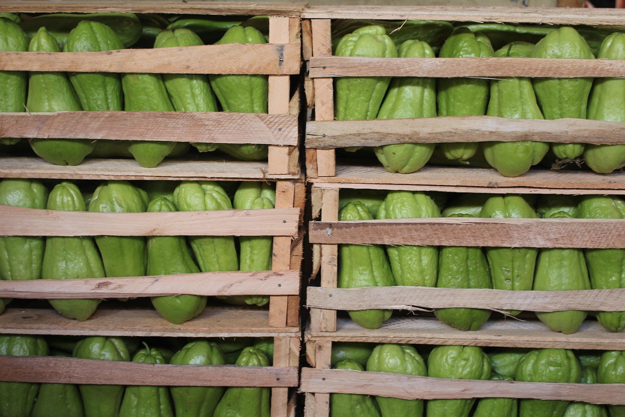 万州新鲜资讯，探索城市新动态，展现时代风采