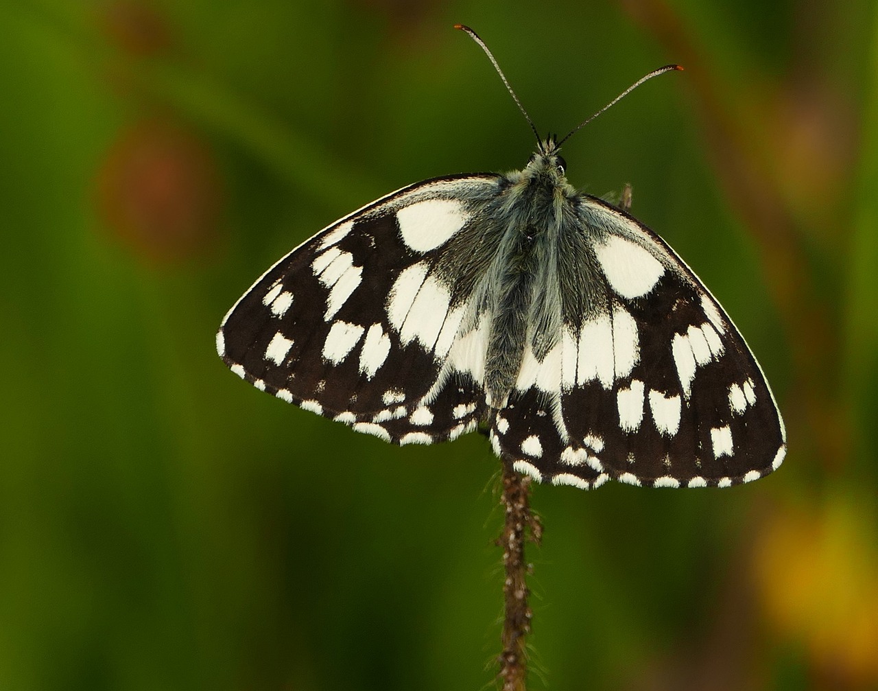 纯牛奶最单纯 第7页