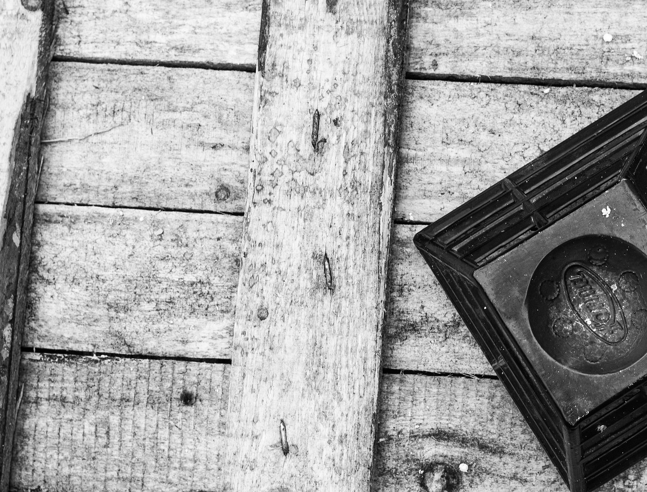 最新接木技术推动木材加工行业革新与发展