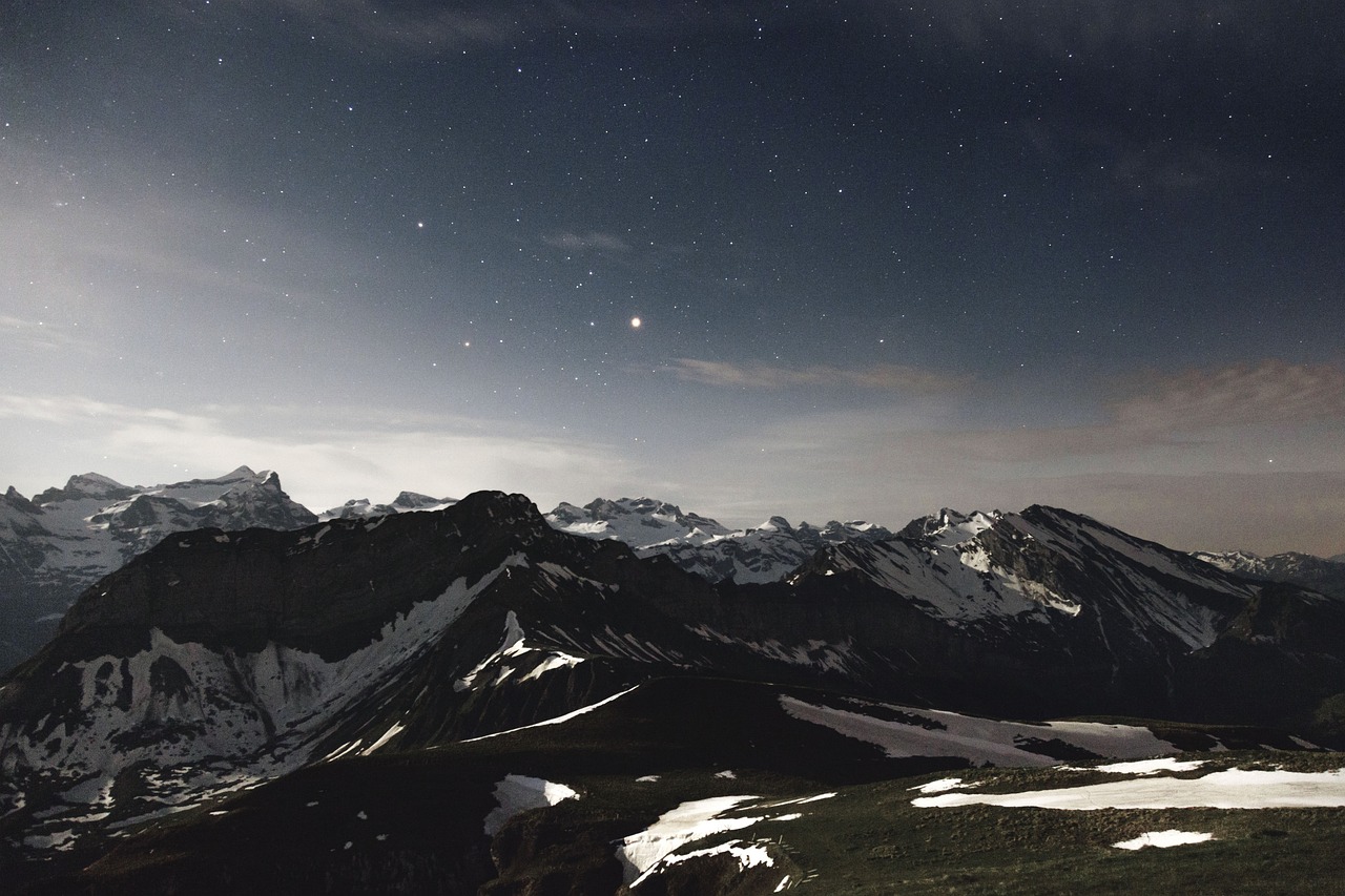 流行文化的象征与自我表达的窗口，头像明星的魅力与影响力