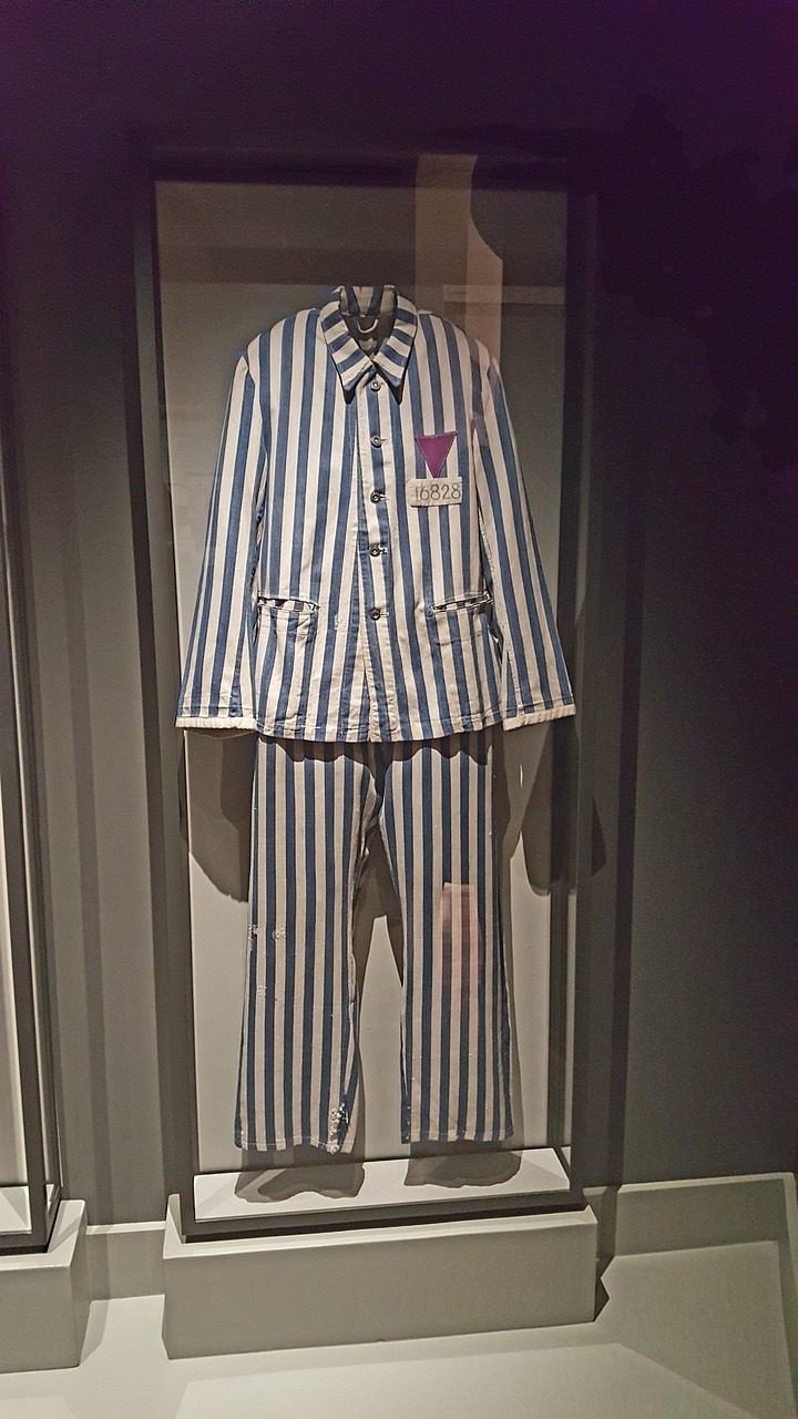 紫御国都动态资讯深度解析与概览