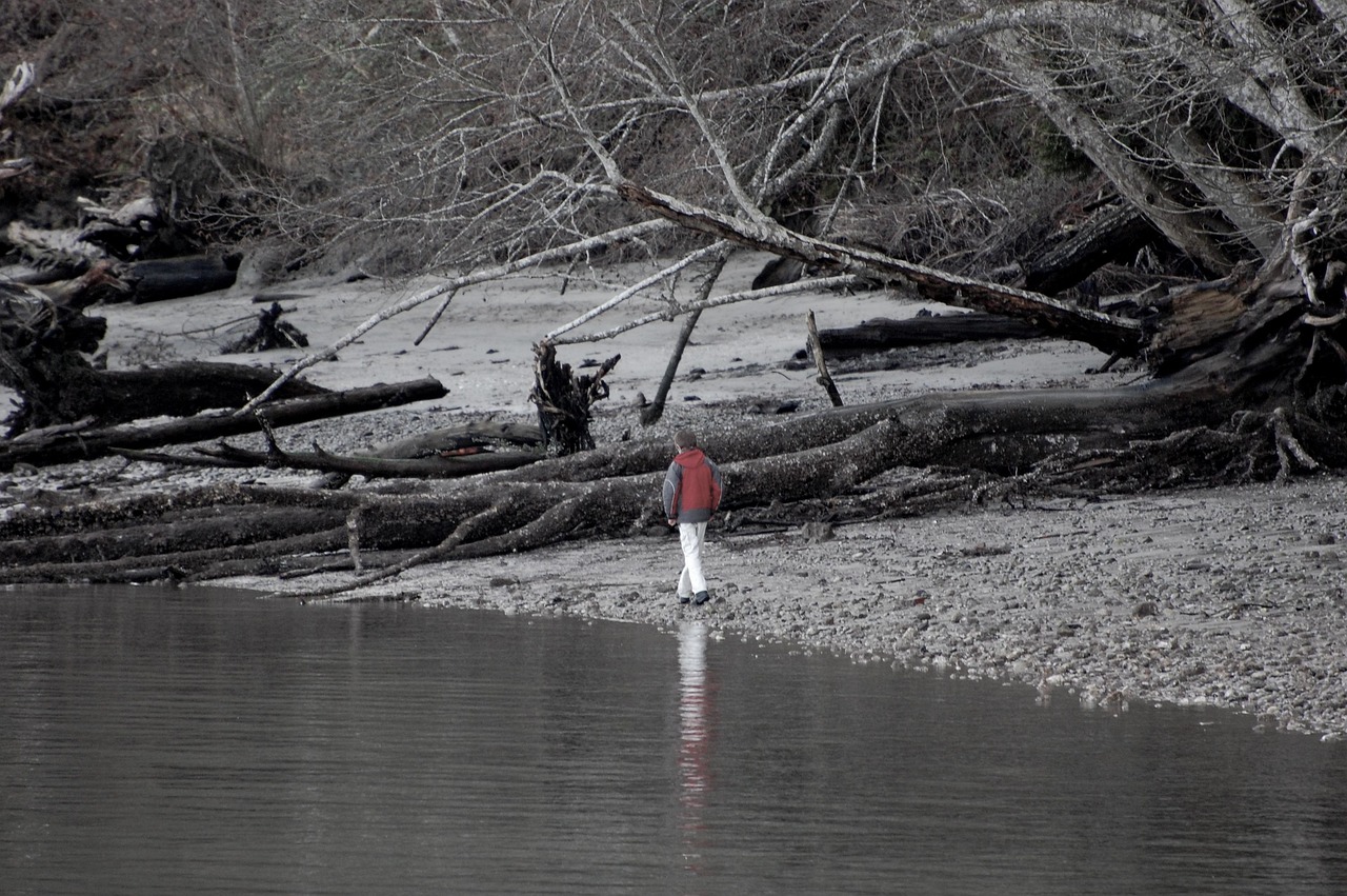 一级建造师最新资讯概览与动态更新