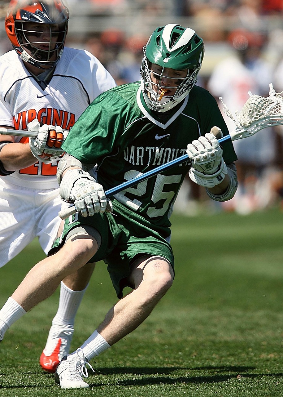 武汉大学最新资讯概览，校园动态一网打尽