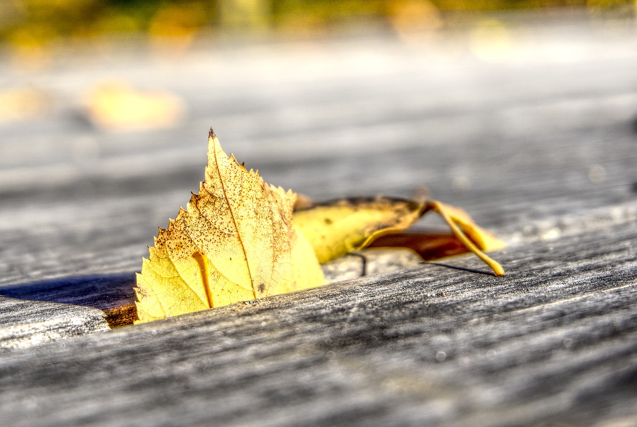 国轩高科股票最新动态及分析摘要