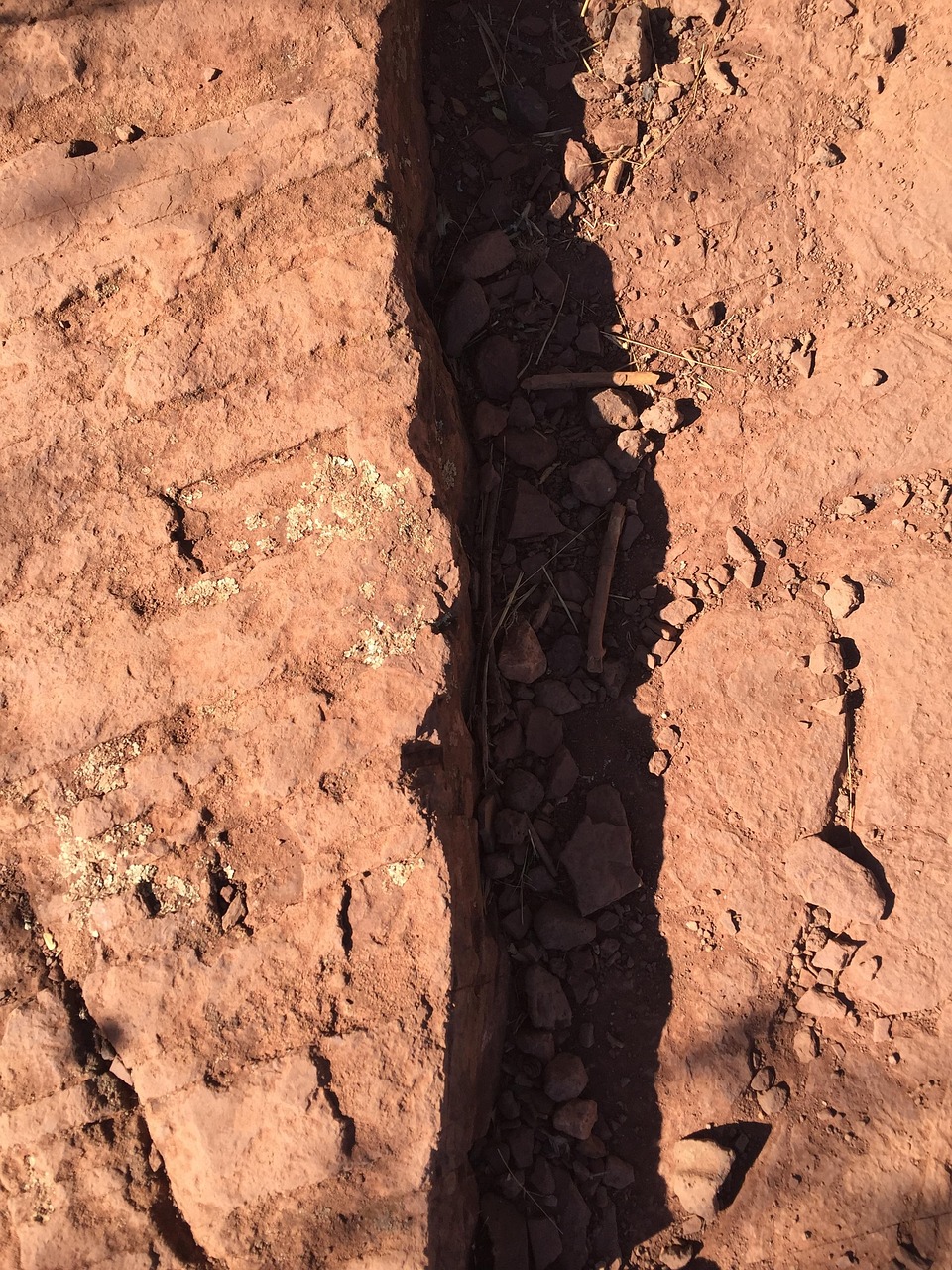 绝高手陈杨最新动态揭秘，探索未来无限可能之路