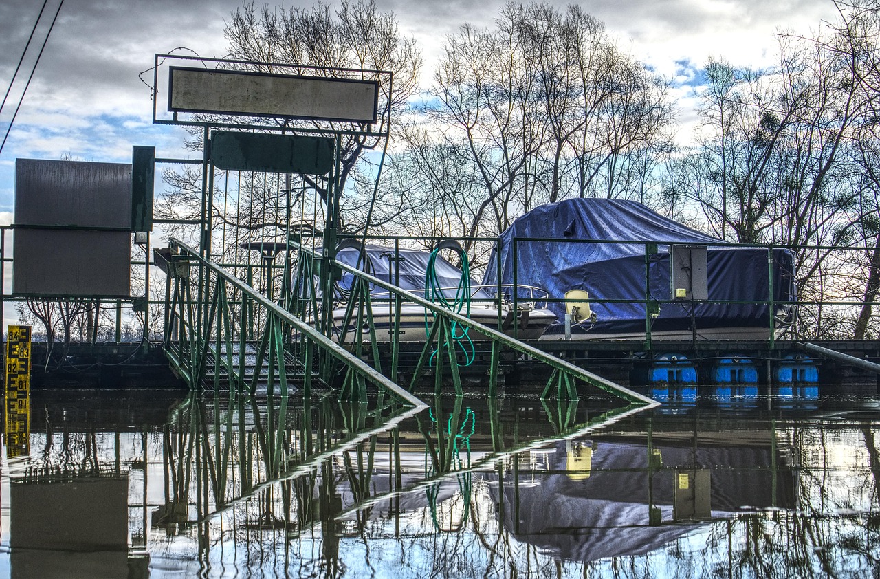 天津知青网最新资讯概览，最新资讯动态一网打尽