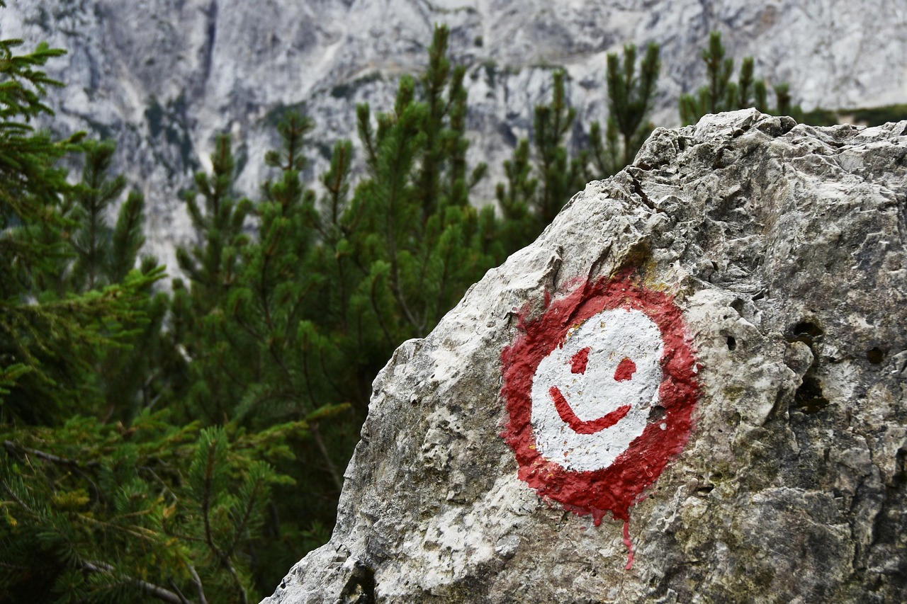 灯花笑照亮生活新篇章，最新动态与趋势展望