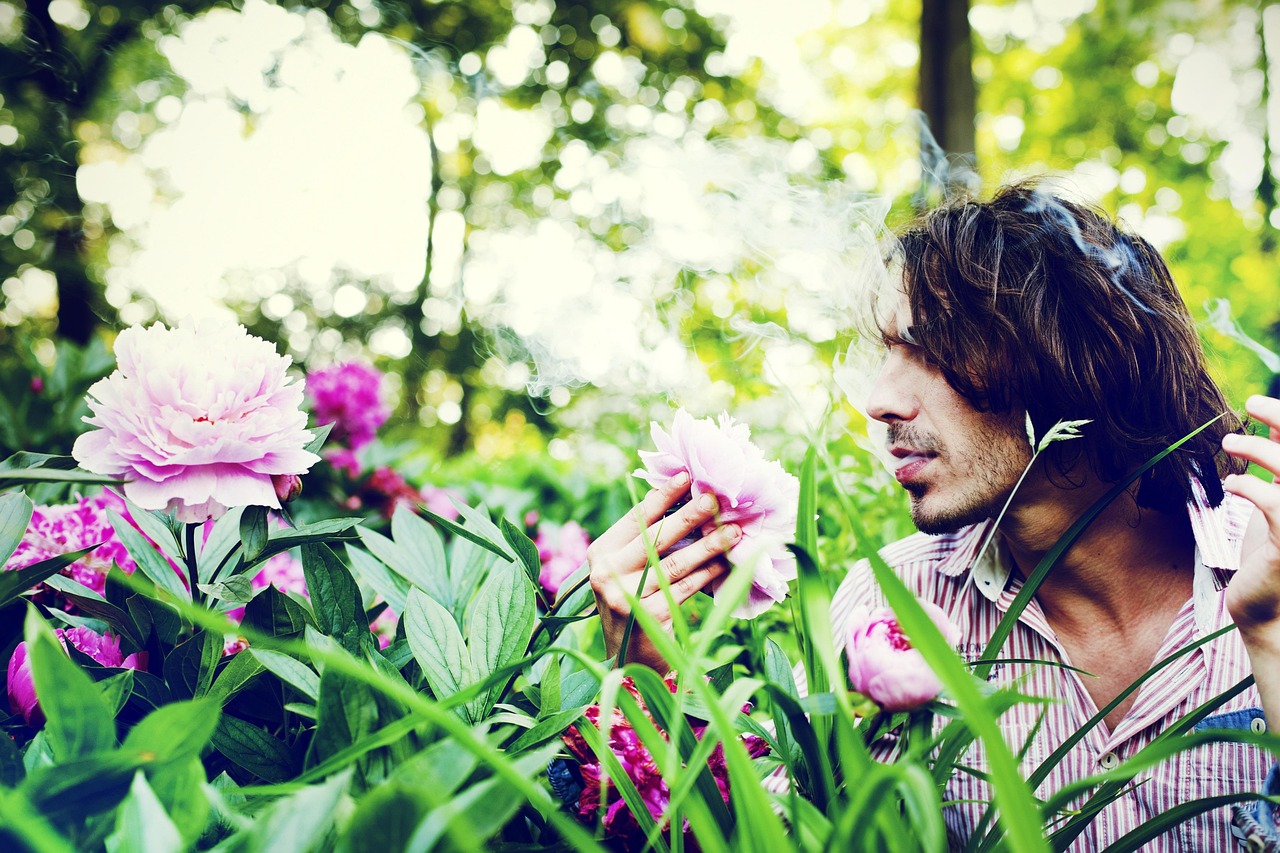 三生三世十里桃花电视剧免费全集深度解析与赏析，剧情、角色与情感赏析全攻略