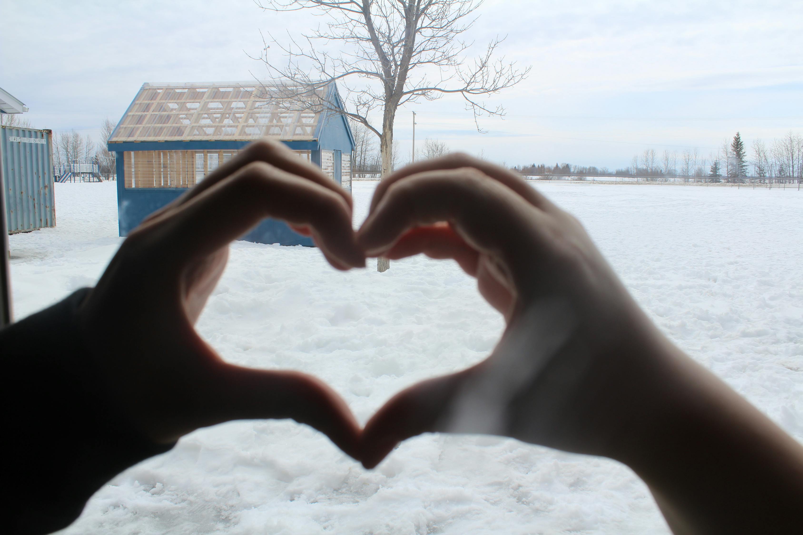 帅气微信动漫头像，探索动漫之美与个性风采的魅力时刻