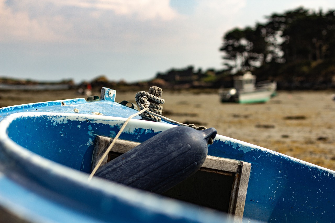 北京最新疫情动态，全面应对，守护共同家园