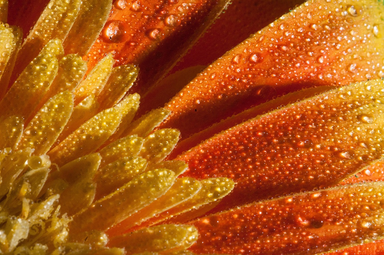 河南郑州疫情最新动态，众志成城，共克时艰