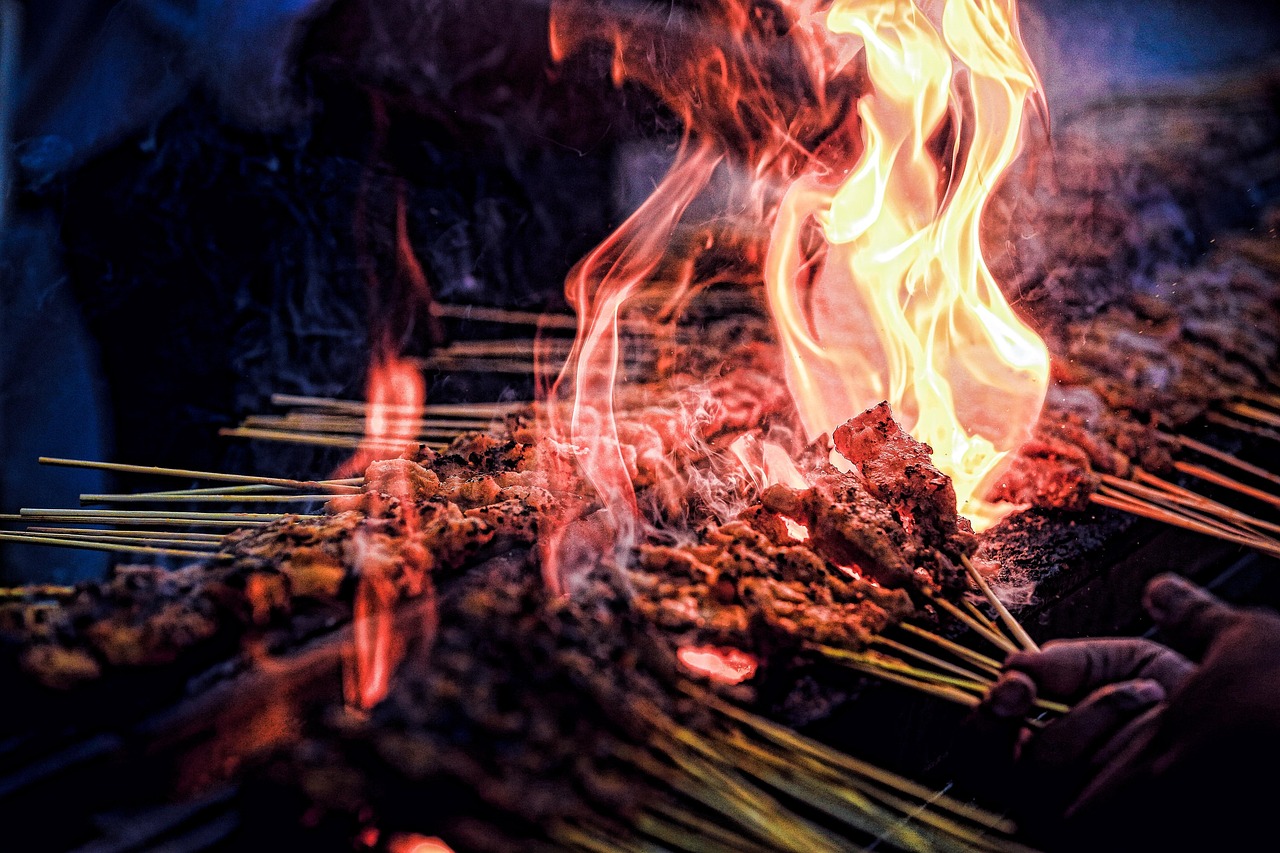 时空之旅，培育师新篇章开启时代之旅