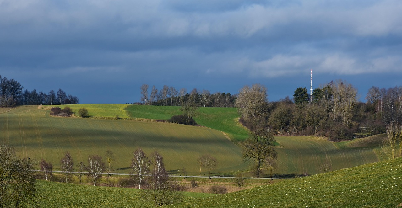 全球原油市场趋势动态,最新发展、影响因素与未来展望