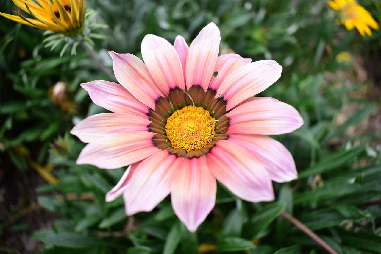 巴以局势最新动态，冲突、对话与未来不确定性分析