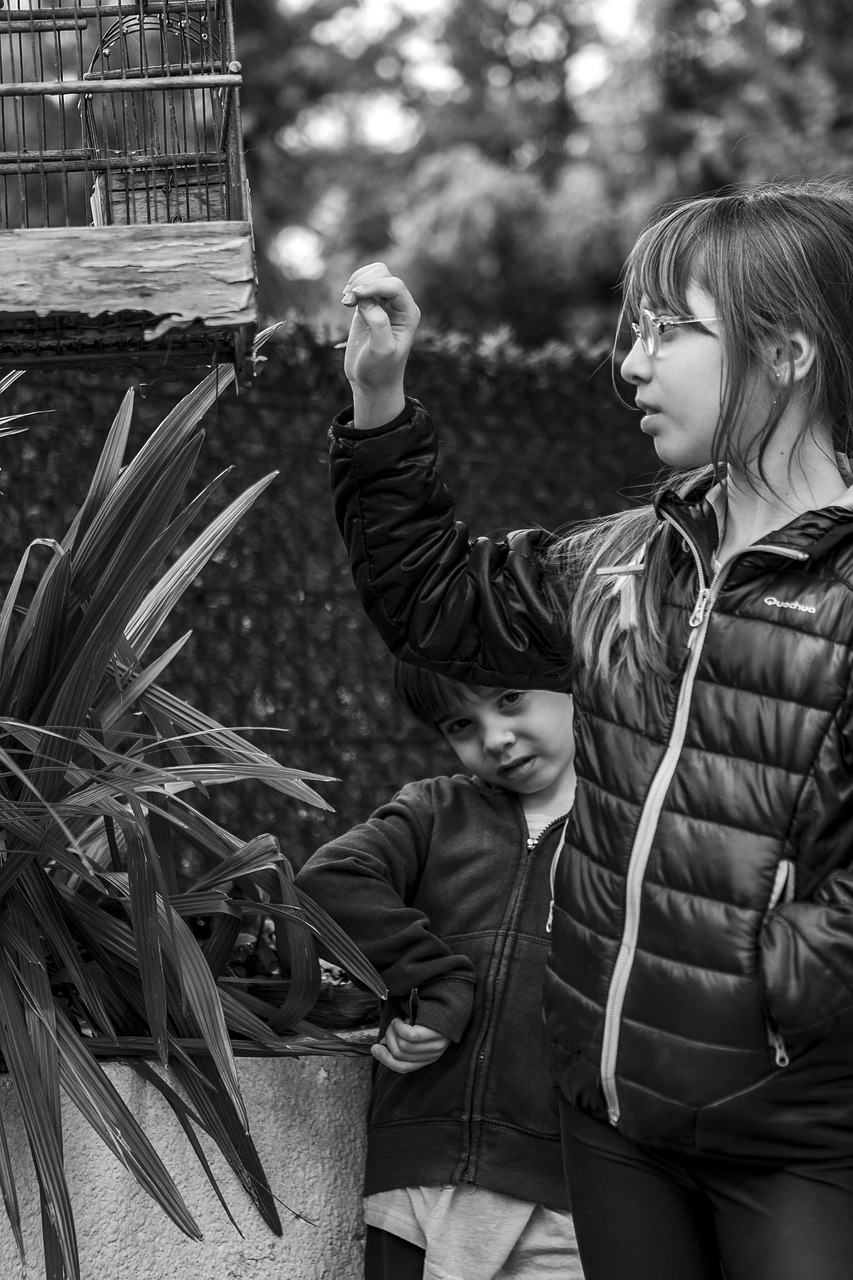 欧美露鸟电影，探索与反思的视界