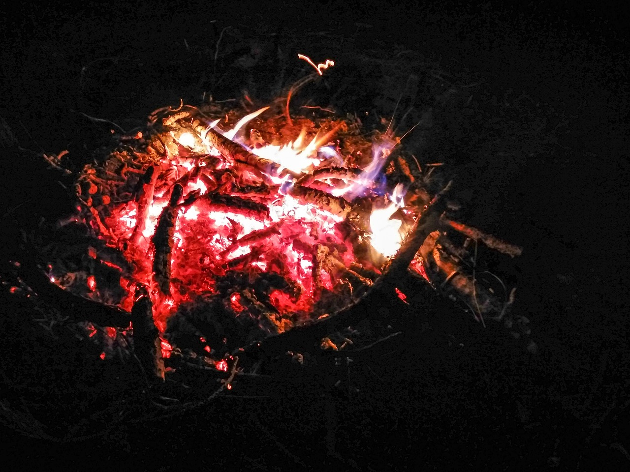 案例中心 第101页