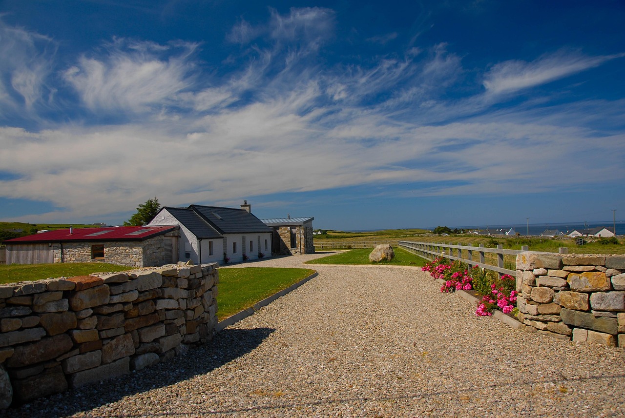 ST九州最新动态，引领变革，迈向未来