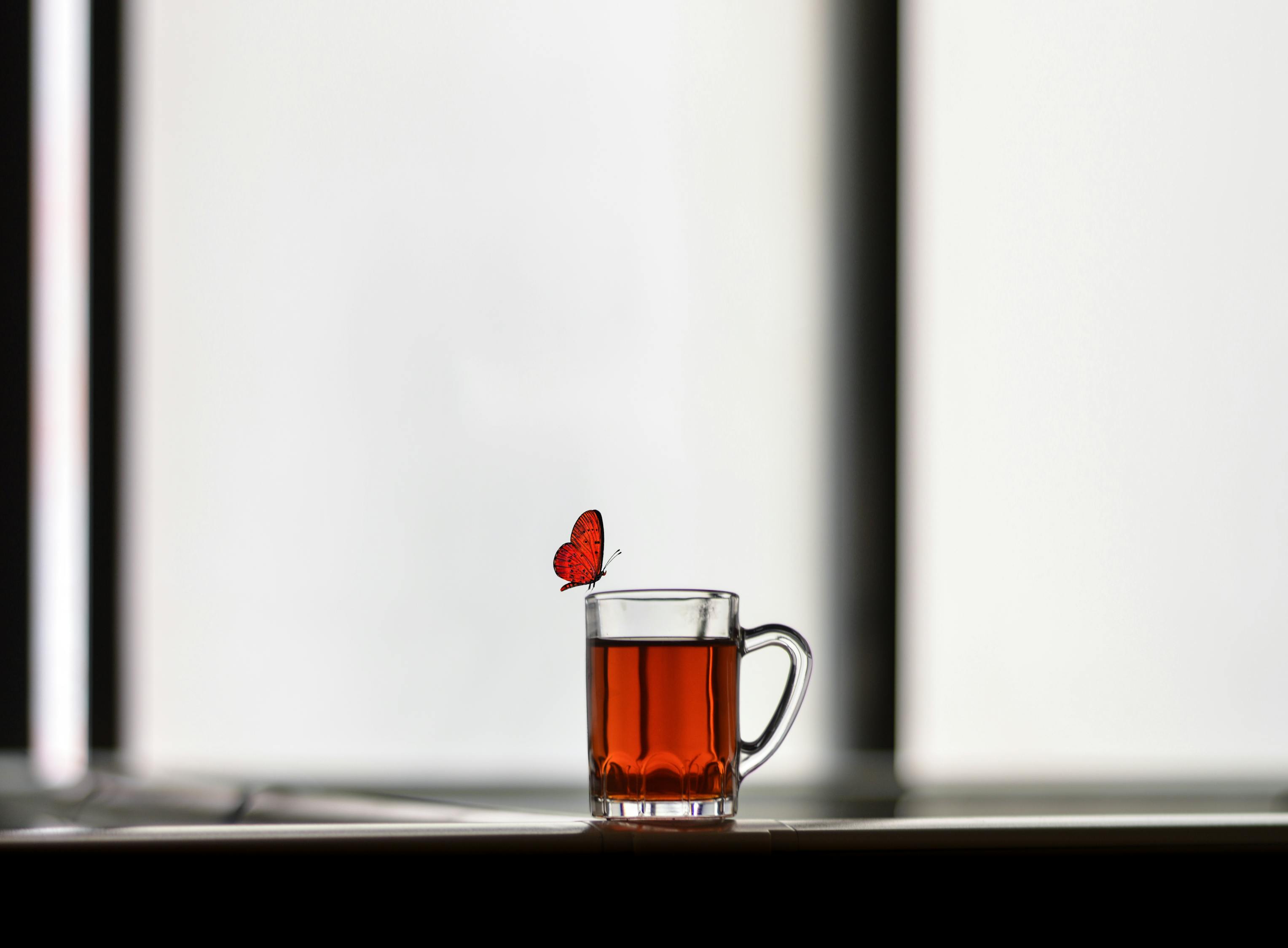 电视剧软弱，揭示人性深处的脆弱与坚韧之力。