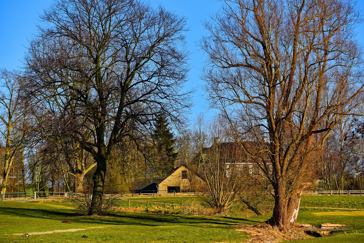 草社区动态回顾与展望，从最新动态到未来展望（2014年）