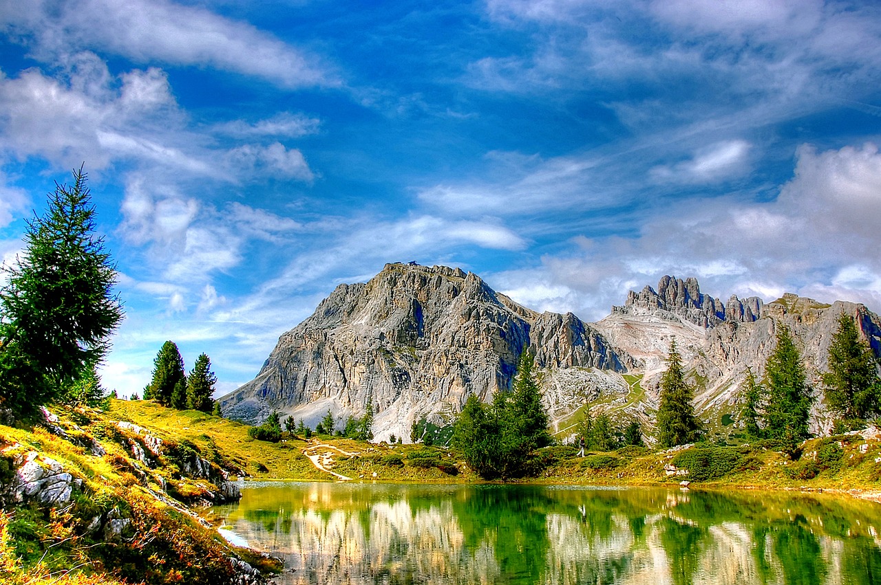 萨得最新动态，全球关注焦点揭秘