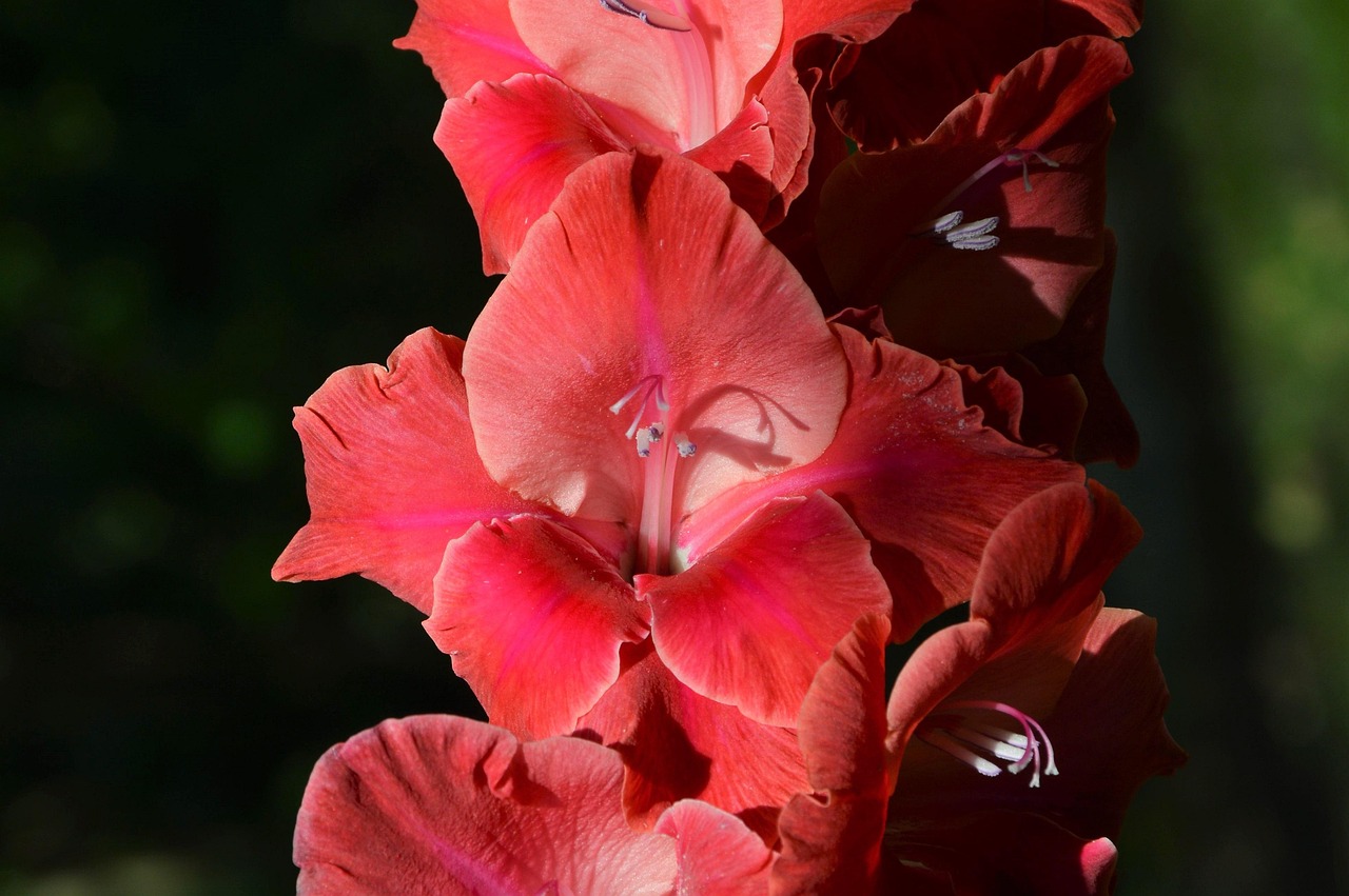 春暖花又开,电视剧中的生命情感交响