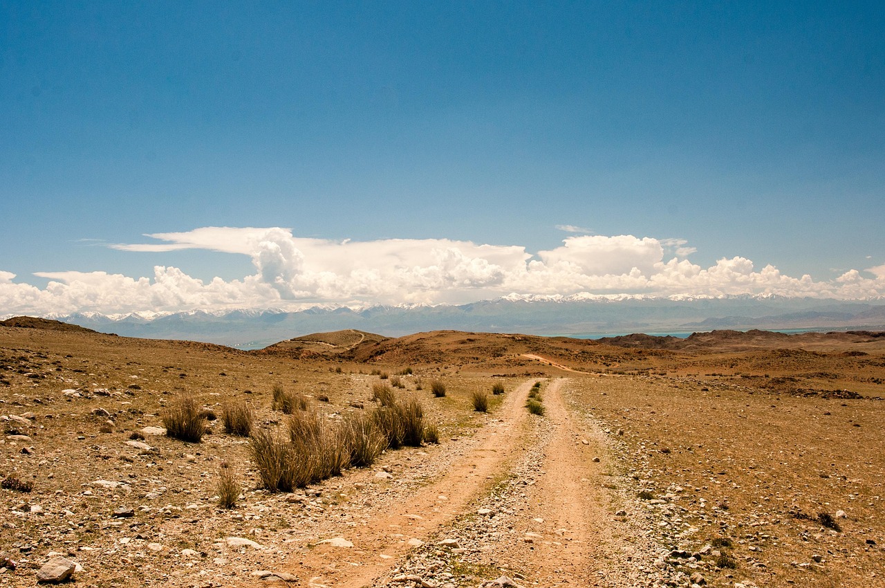 新疆风光掠影，壮美景色令人陶醉的旅程