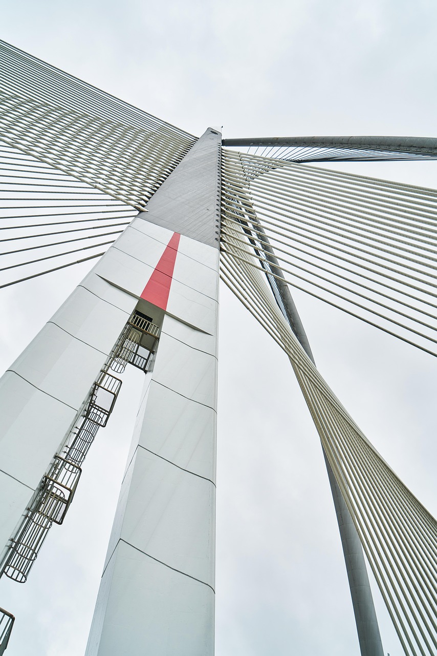 手机墙纸动漫，连接虚拟与现实的桥梁之美