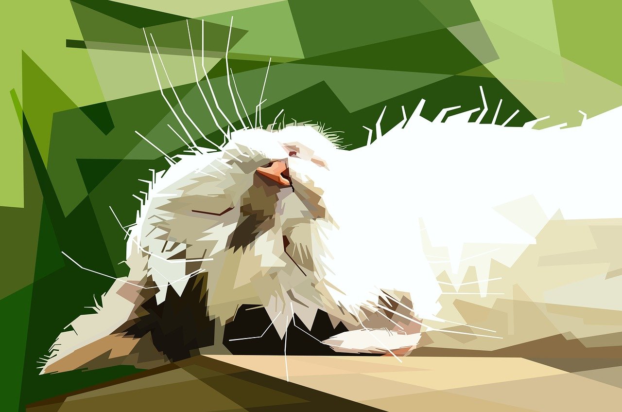 优妮新动态,引领时尚潮流,展现品牌魅力新风尚