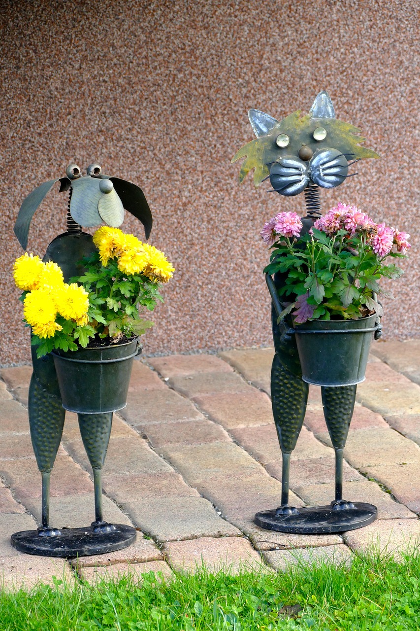 明星月季，绽放的美丽与独特魅力