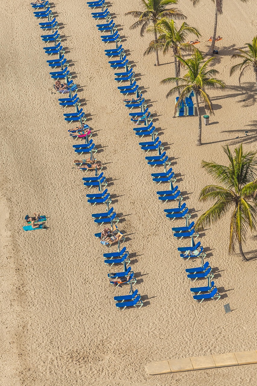 武汉离境动态分析，最新离汉日期公布引发全球关注