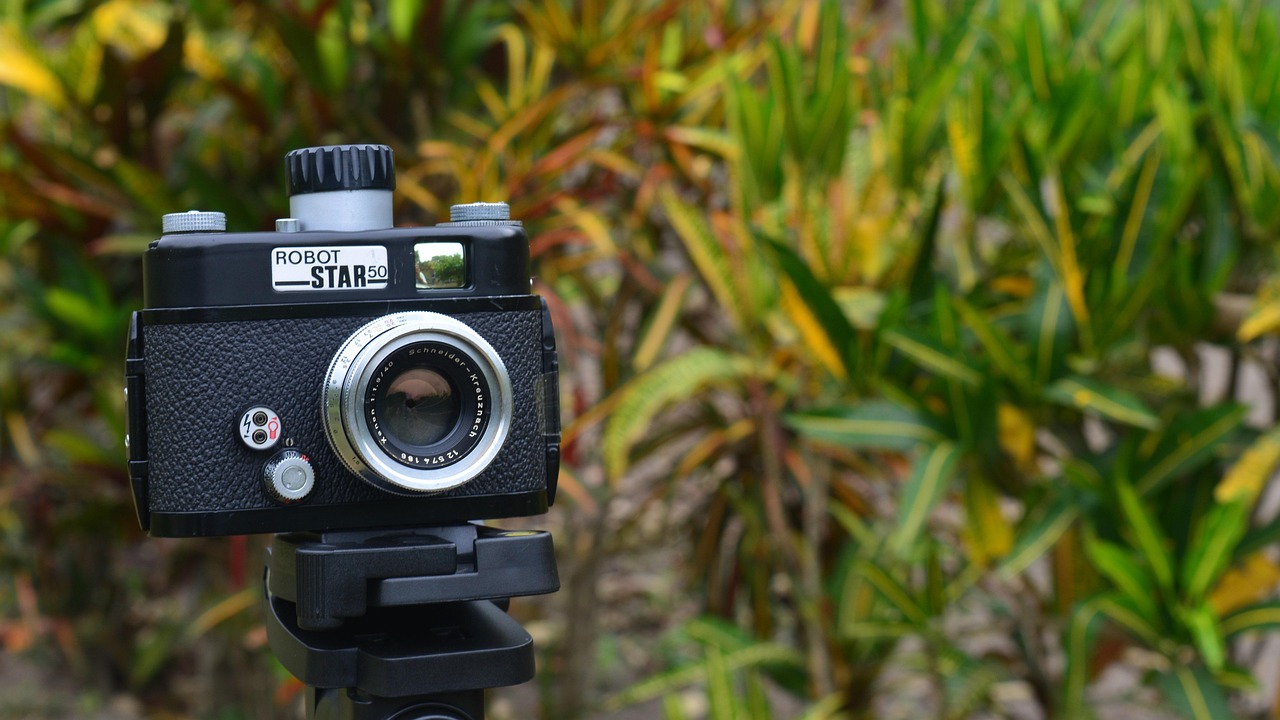 索尼最新微单，科技与艺术的完美融合重塑摄影新定义