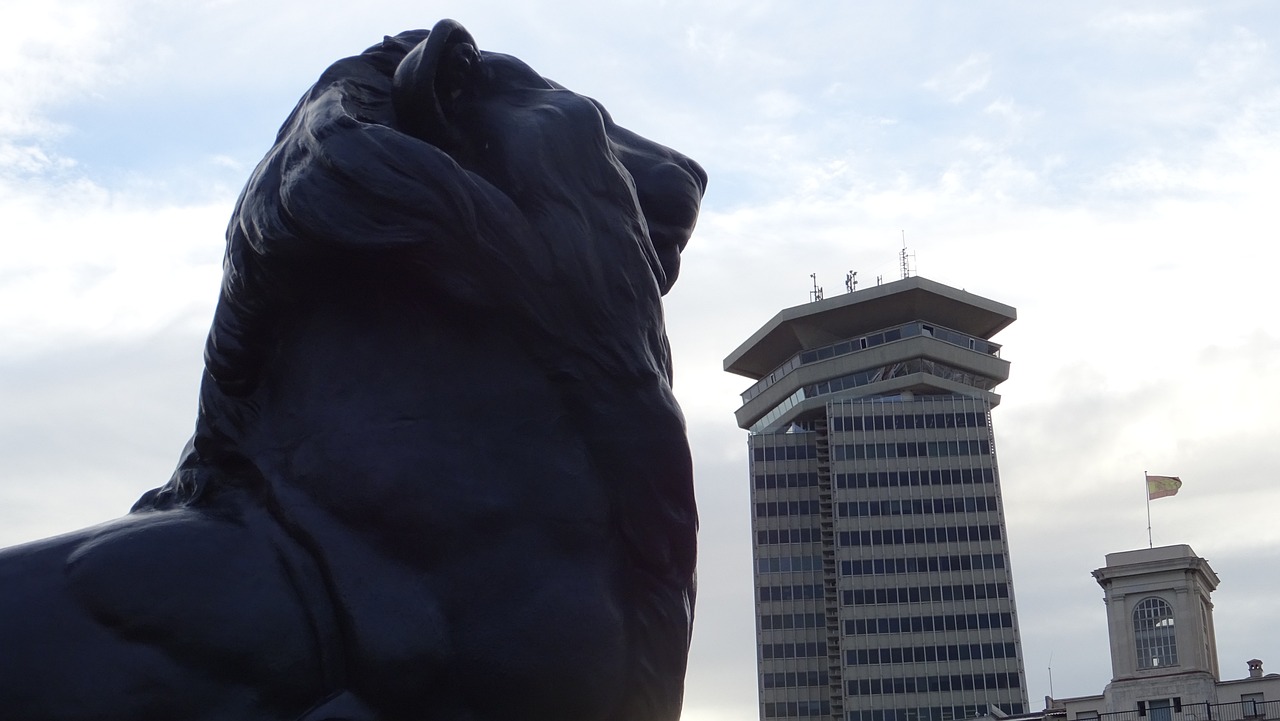 城市夜晚的魅力探索与恋夜最新动态