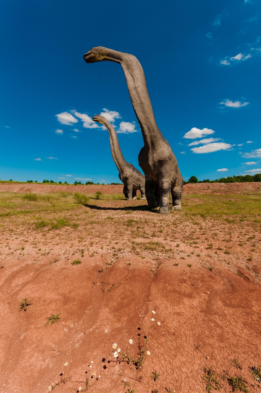 蒋劲夫跨界发展，展现多元魅力最新动态