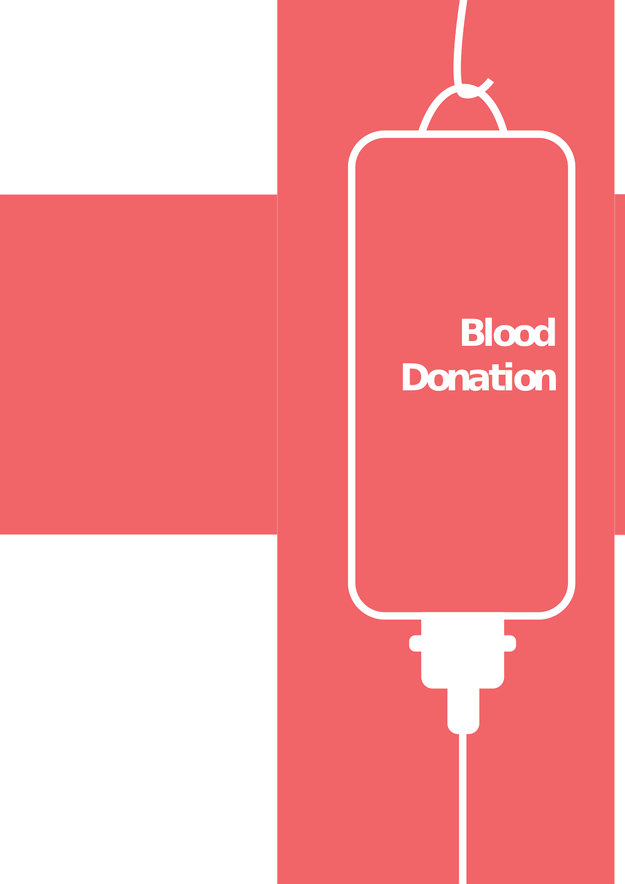 麻章最新职位招聘动态与就业市场深度解析